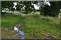 TM0678 : Redgrave: Boggy area leading to fields with cereal crops by Michael Garlick