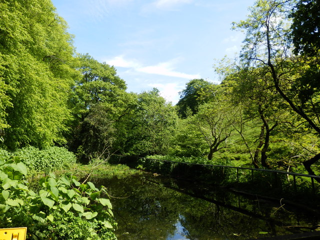 Pond at the Chestnut Centre © Darren Haddock :: Geograph Britain and ...