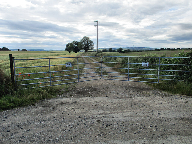 Gate and Lane