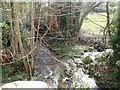 Morlas Brook, south of Weston Rhyn