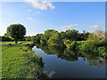 TL4355 : The Cam at Grantchester Meadows by John Sutton