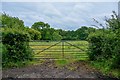 Woodbury : Grassy Field & Gate