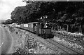 SH5838 : Festiniog Railway train approaching The Cob â€“ 1965 by Alan Murray-Rust