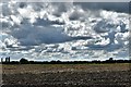 Thelnetham: Ploughed field