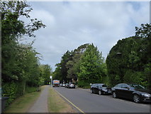 TQ0049 : Approaching a bus stop on Pewley Hill by Basher Eyre