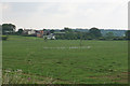 Flock of gulls near Common Fold