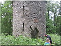 Stone Tower in Tower Wood