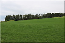 NS2515 : Farmland above Dunure by Billy McCrorie