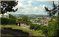 View over Newton Abbot