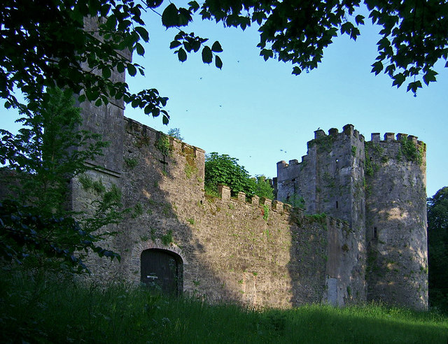 Castles of Munster: Buttevant, Cork (2)