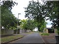 Lamppost in The Avenue