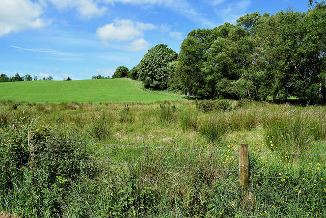 Rushy ground, Aghee © Kenneth Allen :: Geograph Ireland