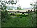 Gate, Holywell Pond Nature Reserve