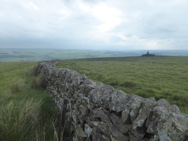 Substantial dry stone wall © Russel Wills cc-by-sa/2.0 :: Geograph ...