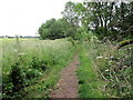 The Thames Path leaving A429 near Kemble