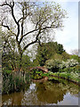 Canal near Weeping Cross in Staffordshire