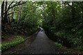 Trans Pennine Trail