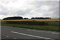 Shaftesbury Road beyond Blandford Forum