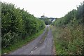 Farm track off Blandford Road, Iwerne Minster