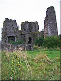 N6332 : Castles of Leinster: Edenderry, Offaly by Garry Dickinson