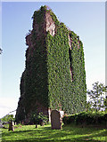 R5430 : Castles of Munster: Bruree Upper, Limerick (1) by Garry Dickinson