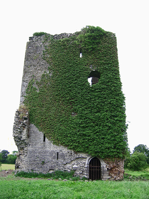 Castles of Leinster: Cantwell, Kilkenny (3)