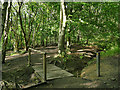 SE2226 : Oakwell Country Park: footbridge in Nova Wood by Stephen Craven