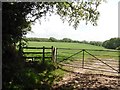 Stile, and path to Sidbury