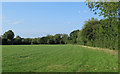 Footpath on field boundary, near King Street, High Ongar