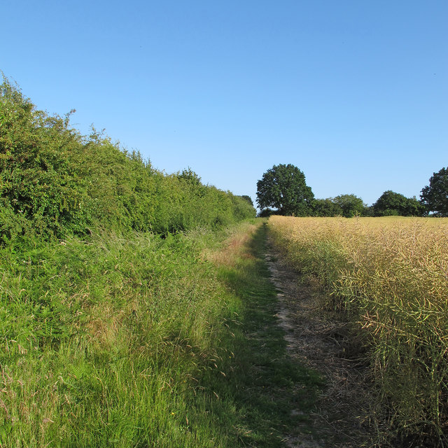 Footpath on field boundary, near Nine Ashes Farm