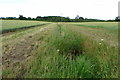 Drainage ditch through the field