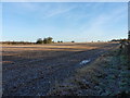 Field of stubble