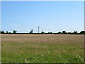 Field on Pennyford Hall Farm