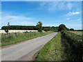 Minor road towards Westwell Copse