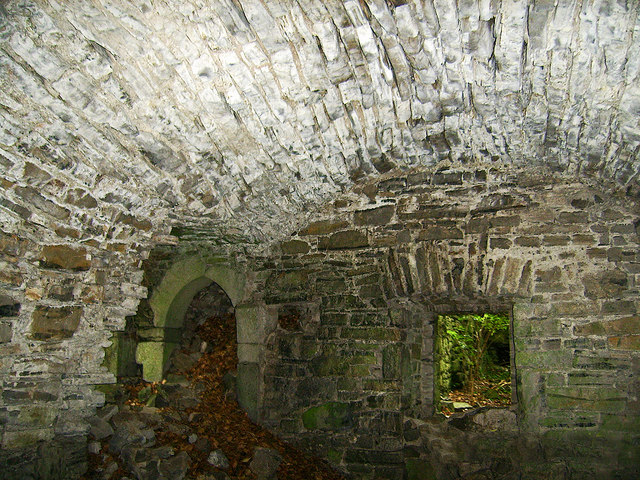 Castles of Leinster: Carrickdexter, Meath (3)