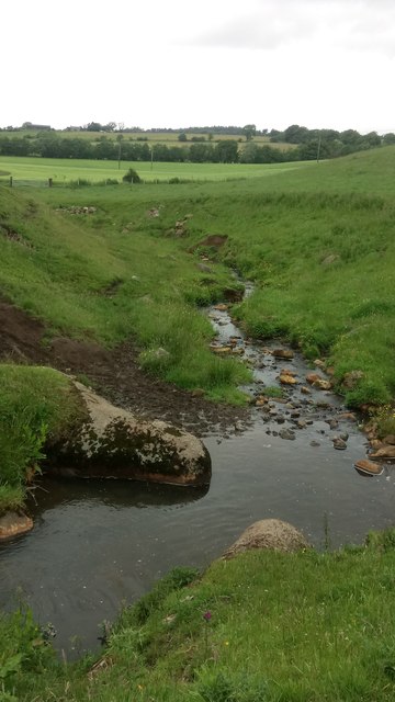 Unnamed Tributary of Crinkle Burn Issuing from a Pipe