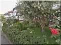 Garden on Briarfield Avenue, Finchley