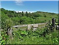 View to Hammerton Hill from The Monsal Trail