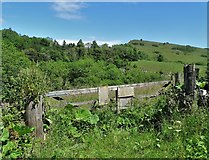 SK1573 : View to Hammerton Hill from The Monsal Trail by Neil Theasby