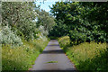 Barnstaple : Footpath