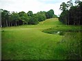 The 11th green, Dougalston Golf Course