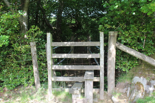 Stile and footbridge into belt of roadside trees