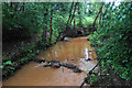 Hindsford Brook