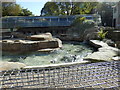 Penguin Enclosure at Paradise Park