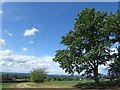 View near Castle Hill