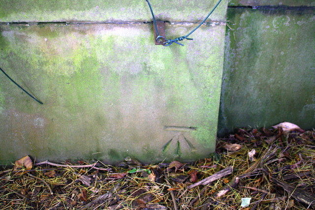 Benchmark on wall west of Cartright Hall