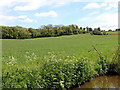 Staffordshire farmland south of Wildwood near Stafford