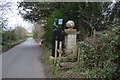 Gate pier and Gate, Chickerell - Fleet boundary