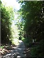 Junction of Sandy Lane with a footpath to Grayswood Common