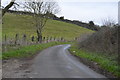 Narrow lane in South Winterborne Valley